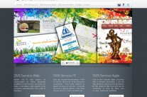 DMS Informatique