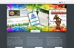 DMS Informatique